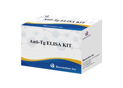 China BIOVANTION Anti Thyroglobulin Antibody Test Anti Tg Ab Test Kit for sale