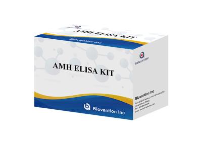China Laboratory Or Hospital High Precision Human Anti-Mullerian Hormone AMH ELISA zu verkaufen
