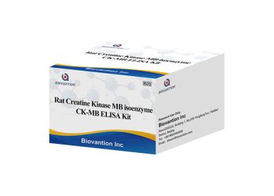 China Equipo de la prueba del isoenzima CK-MB ELISA RUO del MB de la cinasa de la creatina de la rata en venta