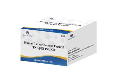 China Alfa ELISA KIT Human Tumor Necrosis Factor LTA de la linfotoxina de TNFB TNFSF1 beta en venta