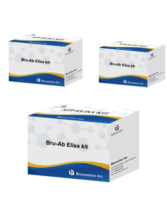China Brucellosis Antibody Veterinary Test Kit For Bru-Ab for sale