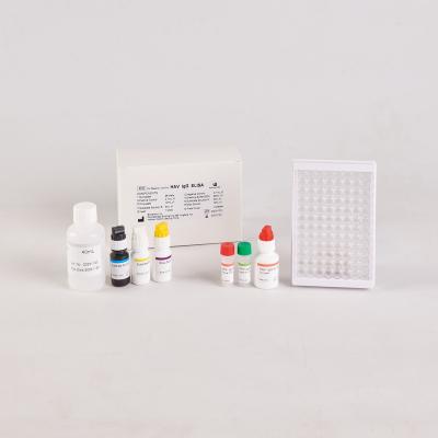 China Human TNF-α Elisa Kit for RUO Test Kit/Human tumor necrosis factor Elisa Kit à venda