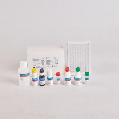 China Human PTH Elisa Kit/Human Parathyroid Hormone Elisa Kit for RUO with 96 Tests à venda