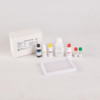 China Human Brucella IgM for 96 Tests Package Size in RUO Test Kit for sale