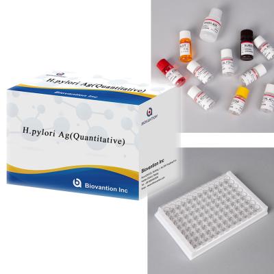 China Helicobacter Pylori Antigen H.pylori Ag(Quantitative) ELISA Test for sale