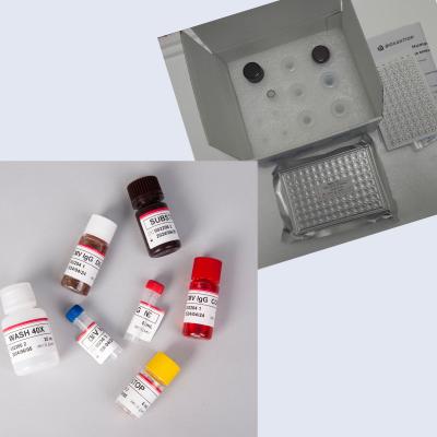 China Human MEPI Elisa Kit with 96T for sale