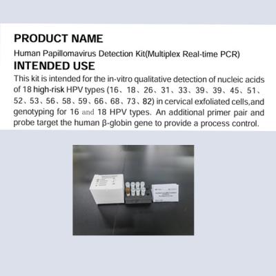 China Human Papillomavirus Detection Kit Multiplex Real Time PCR for sale