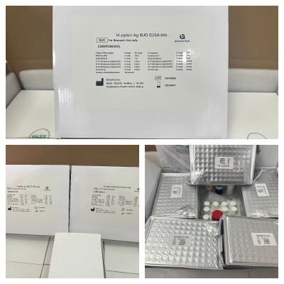 China H.Pylori  ELISA Test Kit 480test/kit Elisa Screening Kit Results for sale