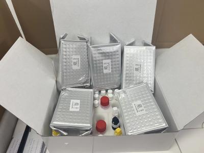 中国 11-dehydro-Thromboxane B2 (11dhTxB₂) ELISA Test Kit IVD High accuracy and simple operation 販売のため