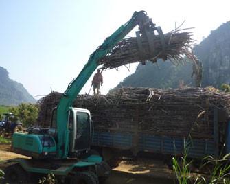 Chine le mini rondin de l'excavatrice 6400kg attaquent pour la canne à sucre chargeant et déchargeant le CE d'OIN à vendre