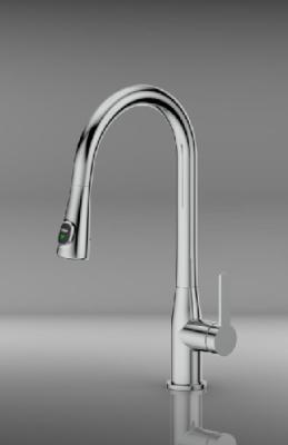 China Kitchen Single Lever Sink Mixer Tap With Pull Out Dual Rinsing Spray for sale