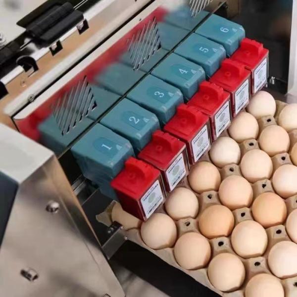 Quality Six Nozzle Automatic Egg Spray Coding Machine Printing for sale