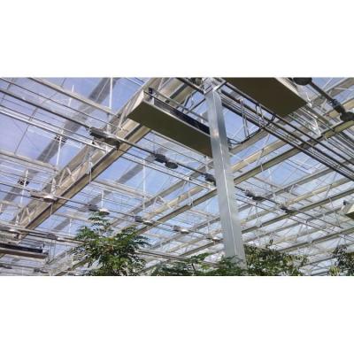 China High-Efficiency Agricultural Greenhouse Production Greenhouse With Plastic Film for sale