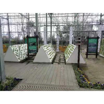 China Commercial Aeroponics Hydroponic System For Greenhouse Vegetables Growing for sale