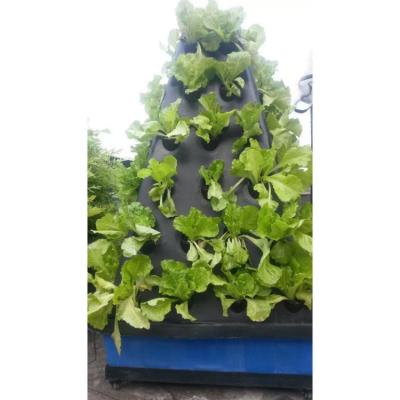 China Wholesale Factory Price Aeroponic cultivation vegetables in multispan greenhouse for sale for sale