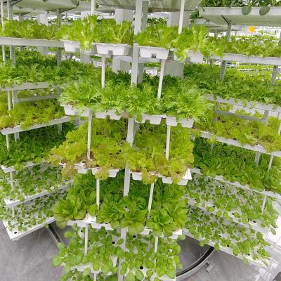 China Vertical Farming Hanging Plant Hydroponic Intelligence Farming for sale