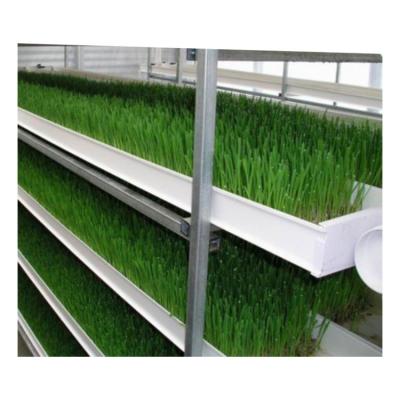 China Growing Sprouts Hydroponics Fodder System 4000*1600*2400mm For Farms for sale
