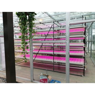 China Greenhouse Agriculture Iot Vertical Factory For Modern Agriculture for sale