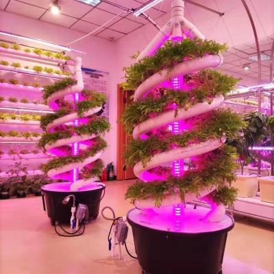 China Double Helix Hydroponic Indoor Garden Vertical Hydroponics Growing System for sale