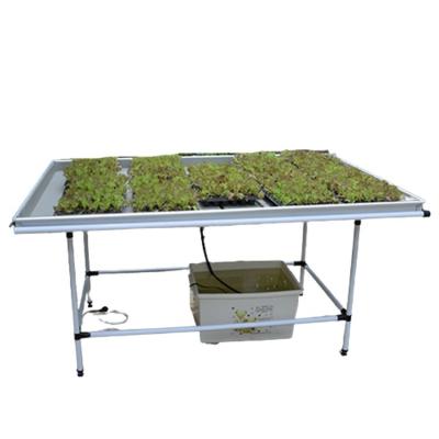 China Vertical Seedling Systems Commercial Ebb/Flow System Agricultural Greenhouses for sale