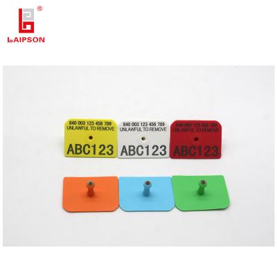 China Rectangular Livestock Ear Tags 52mm 38mm Pig Hog Swine Use With Laser Marking for sale