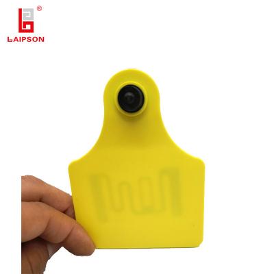China 100mm 75mm UHF Pig Cattle ID Tags , RFID Sheep Tags Tamper Resistant 825~925Mhz for sale
