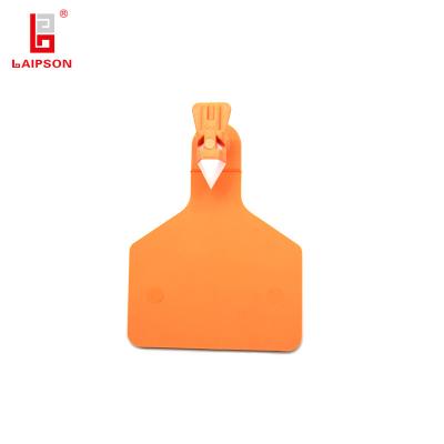 China Visual TPU Z Tag Ear Tags ISO9001 Middle Size Pollution Free for sale