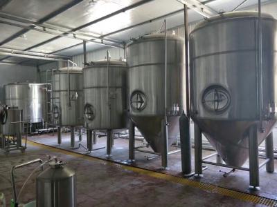 China Cerveza industrial del gran escala que elabora voltaje ajustable del equipo 3000l 5000l en venta
