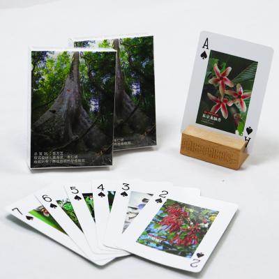 China Custom Printed Green Advertising Playing Cards With Box Printing High Quality Germany Black Core Paper Playing Card for sale