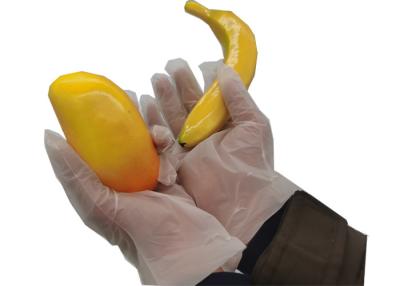 China ASTM D6400 Compostable Food Prep Gloves BPI Biodegradable Disposable Gloves for sale
