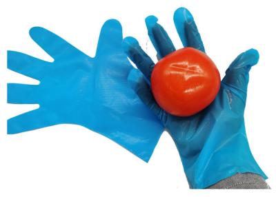 China Flexible Puncture-resistant Blue CPE Gloves for Kitchen Food Classification for sale