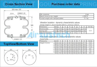 China Molla pneumatica in gomma a soffietto Firestone W01-358-7122 Cross EI Ride 8030190 riempita di gas for sale