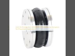 Connessione aria G1/2 W01R584052 Attuatori pneumatici Firestone per applicazioni pneumatiche