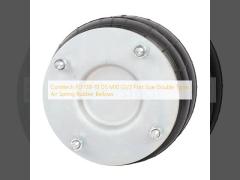 Contitech FD 138-18 DS M10 G1/2 Port Size Duplice tipologie