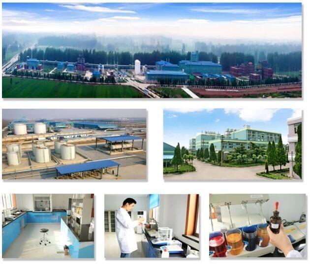 Verified China supplier - Praise Sino LTD