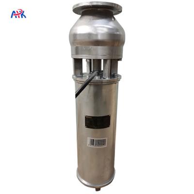 China 40m3/H 12m Stainless Steel Fountain Submersible Pump Lake Pond Horizontal for sale