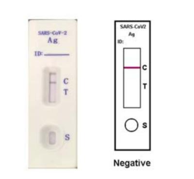 China SARS-CoV-2 Antigen Rapid Test for COVID-19  Coronavirus 2, diagnosis of COVID-19  pandemic  within 15mins for sale