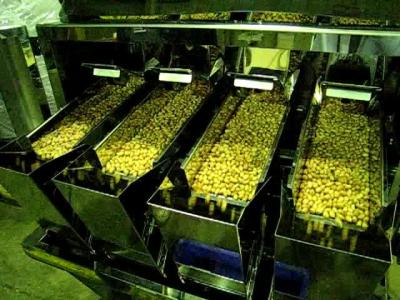 China 6500 lineare Wäger-Hauptmaschine des Gramm-4 für Schokolade zu verkaufen