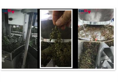 Cina Pesatore di Multihead della bascula di Multihead per la macchina di rifornimento impermeabile verde di verdure della cenere spinosa in vendita