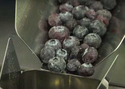 Cina Bascula della frutta di Multihead per la macchina di rifornimento fragile dell'alimento del mirtillo in vendita