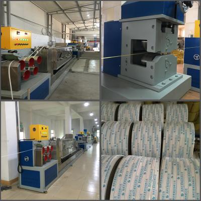 China Automatic Screen Changer PP Strap Making Machine 4 Extrusion Line 240kgs/H en venta