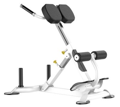 China Máquina de Rohs Roman Chair Back Extension Exercise para el gimnasio en venta