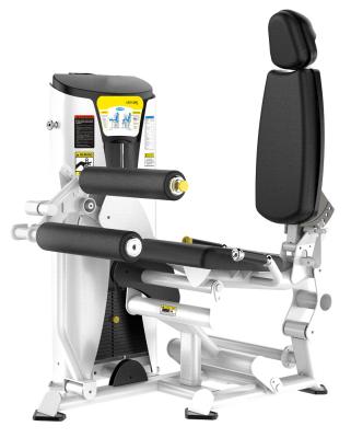 China Músculo oblongo comercial do exercício da máquina da onda de pé do tubo do equipamento T3.5 do Gym à venda