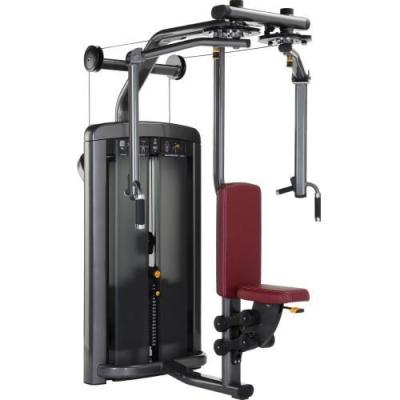 China Pec Fly New Life Fitness Equipment Delt Machine Gym Powder Coating for sale