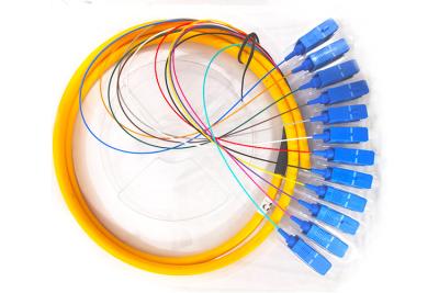China Manutenção programada 12core do único modo da trança da fibra ótica do SC UPC do comprimento 1.5m à venda