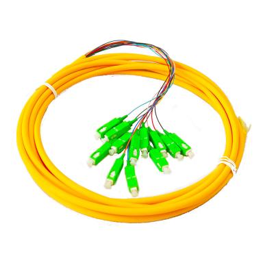 China SM 1.5m 3m 12 Core colored SC APC Fiber Optic Pigtail IEC ISO 9001 for sale