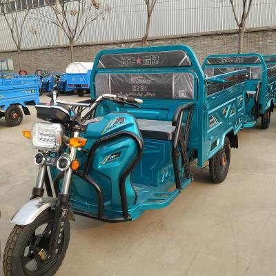 China China Electric Trike Motorcycle Triciclo ElectricoFamily Adult Passenger Tricycles 3 Wheel Electric Rickshaw Electric Tricycle for sale