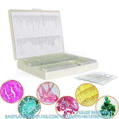 Chine Microscope Slides With Specimens For Kids, Prepared Microscope Slides Plants Animals Insects, Microscope Slides à vendre