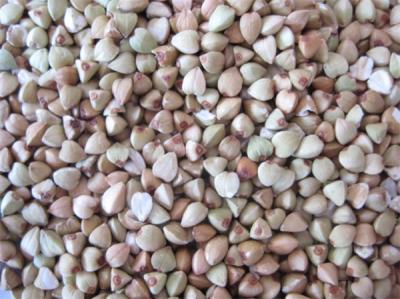 China buckwheat huller, buckwheat sheller, buckwheat hulling machine for sale