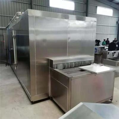 China tunnel freezer, frozen peas making machines, fruit instant freezer for sale